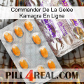 Commander De La Gelée Kamagra En Ligne new12